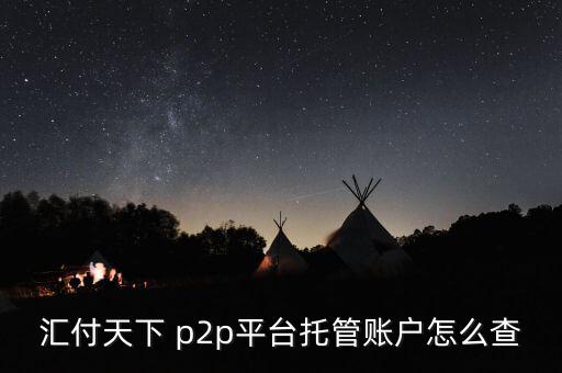 匯付天下 p2p平臺托管賬戶怎么查