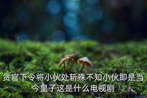 天涌影視怎么樣,《快樂縣令》第二部由搜狐視頻獨(dú)家播出