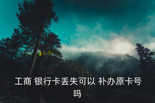  工商 銀行卡丟失可以 補(bǔ)辦原卡號(hào)嗎