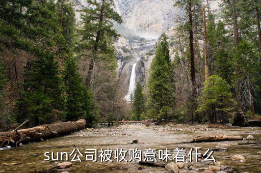 sun公司被收購(gòu)意味著什么