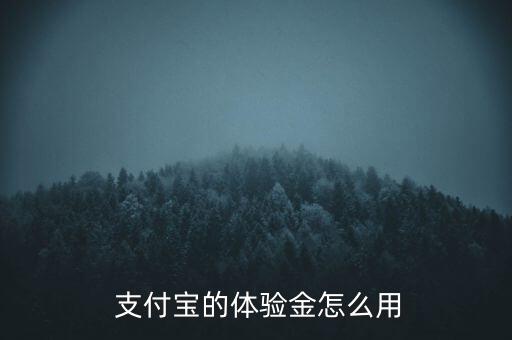  支付寶的體驗金怎么用