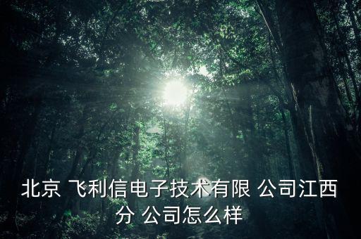 飛利信公司怎么樣,飛利信電子科技有限公司江西分公司正營(yíng)業(yè)中