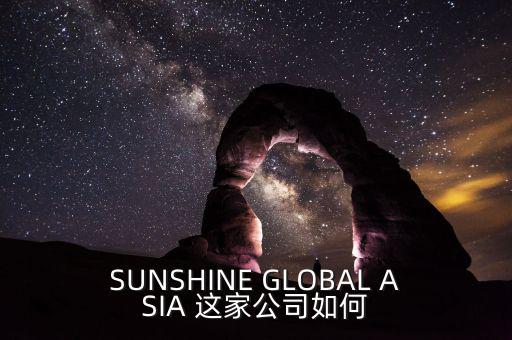 永信亞洲有限公司主要業(yè)務(wù)是什么，SUNSHINE GLOBAL ASIA 這家公司如何