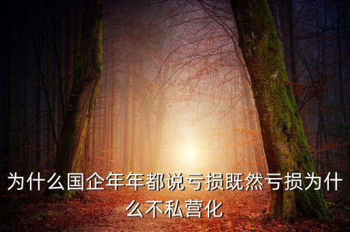 為什么國(guó)企年年都說(shuō)虧損既然虧損為什么不私營(yíng)化