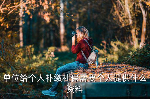 單位給個人補繳社保需要個人提供什么資料