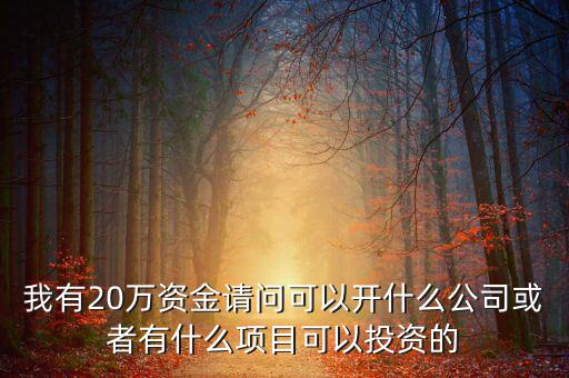 我有20萬資金請問可以開什么公司或者有什么項(xiàng)目可以投資的