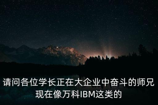 請問各位學長正在大企業(yè)中奮斗的師兄現(xiàn)在像萬科IBM這類的