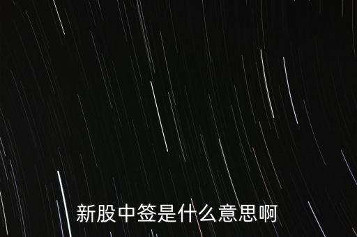 中簽號什么意思，新股的中簽號在哪里查詢呀