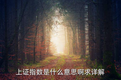 上證指數(shù)是什么意思啊求詳解