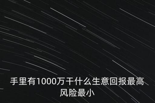 1000萬投資什么生意，手里有1000萬干什么生意回報最高風(fēng)險最小