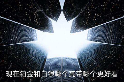 什么白銀最亮，哪種銀子最好