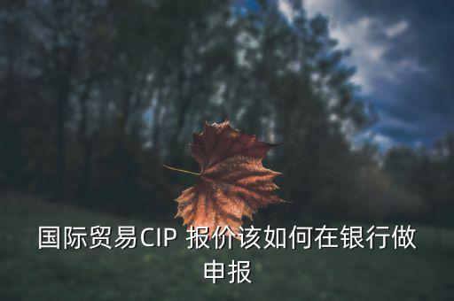 國貿(mào)分析報價怎么做,分析單價對投標人沒有實際意義