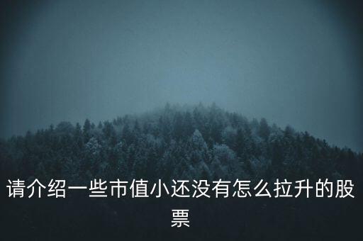 請(qǐng)介紹一些市值小還沒(méi)有怎么拉升的股票