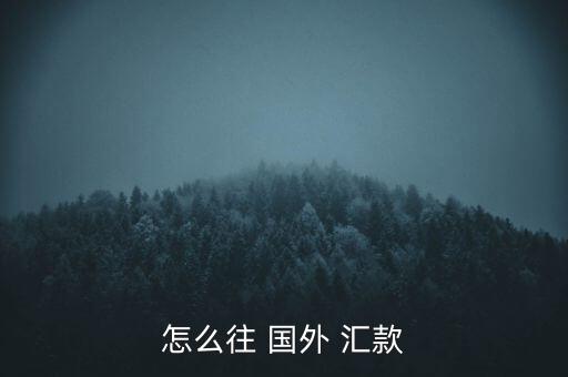 孟加拉怎么往國外匯款,匯款(匯款)分三種方式