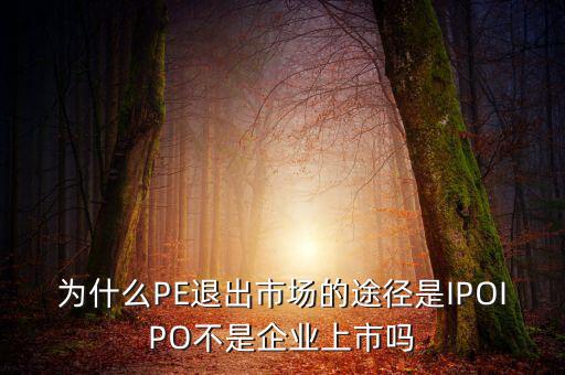 pe為什么要退出，為什么PE退出市場(chǎng)的途徑是IPOIPO不是企業(yè)上市嗎