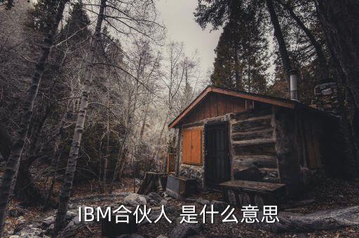 IBM合伙人 是什么意思