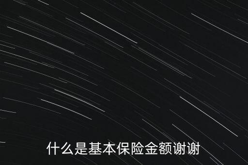 什么是基本保險金額謝謝