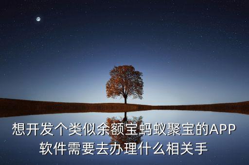 想開發(fā)個(gè)類似余額寶螞蟻聚寶的APP軟件需要去辦理什么相關(guān)手