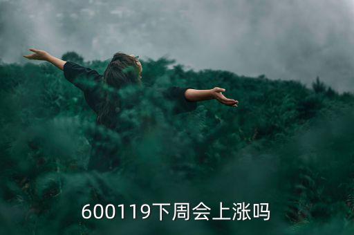 600119下周會(huì)上漲嗎