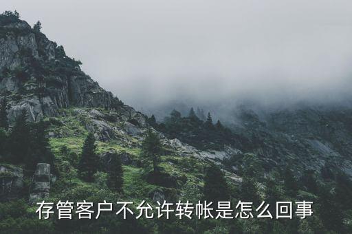 存管客戶不允許轉(zhuǎn)帳是怎么回事