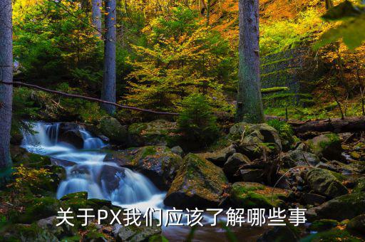 px項(xiàng)目是干什么的，關(guān)于PX我們應(yīng)該了解哪些事