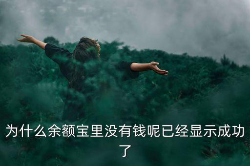 為什么余額寶里沒有錢呢已經(jīng)顯示成功了