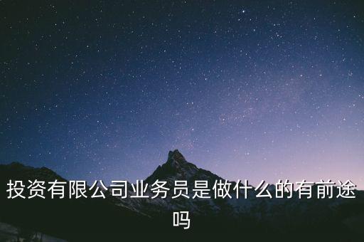 投資有限公司業(yè)務(wù)員是做什么的有前途嗎