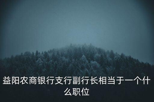 益陽農商銀行支行副行長相當于一個什么職位