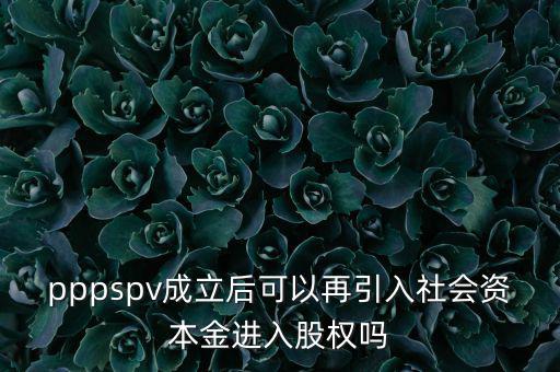 spv公司是什么意思，spv公司是獨(dú)立法人