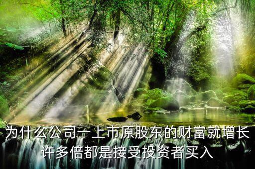 為什么公司一上市原股東的財(cái)富就增長(zhǎng)許多倍都是接受投資者買入