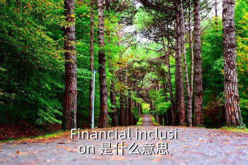 Financial inclusion 是什么意思