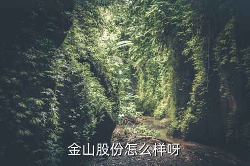 為什么沒人關(guān)注金山股份，金山股份怎么樣呀