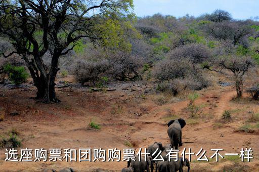 選座購票和團(tuán)購購票什么有什么不一樣