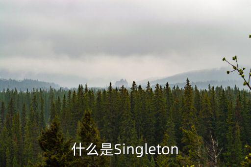 什么是Singleton