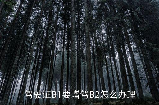 b1b2駕駛證怎么辦