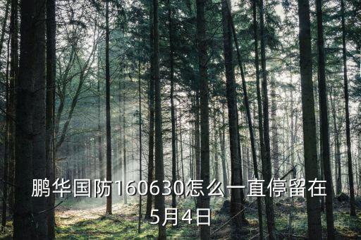 鵬華國防160630怎么一直停留在5月4日