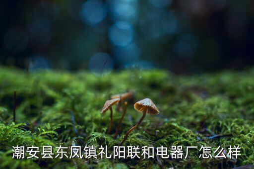 聯(lián)禮陽是個什么來路，樂雪薇 韓承毅 渠禮陽是什么小說