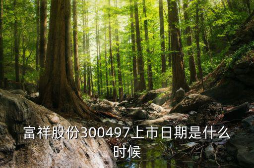 富祥股份300497上市日期是什么時(shí)候