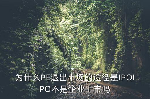 為什么PE退出市場(chǎng)的途徑是IPOIPO不是企業(yè)上市嗎