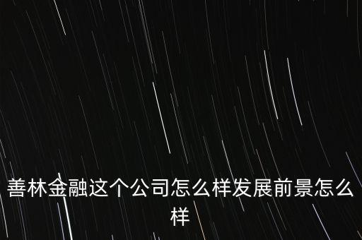 善林金融這個公司怎么樣發(fā)展前景怎么樣