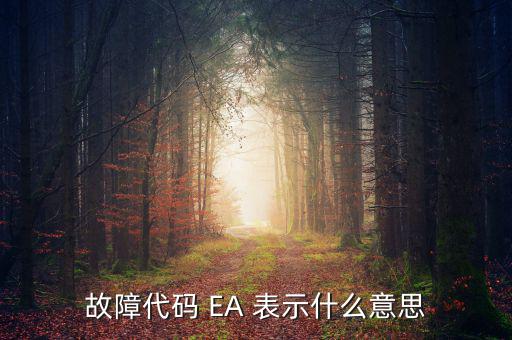 華泰ea什么意思，故障代碼 EA 表示什么意思