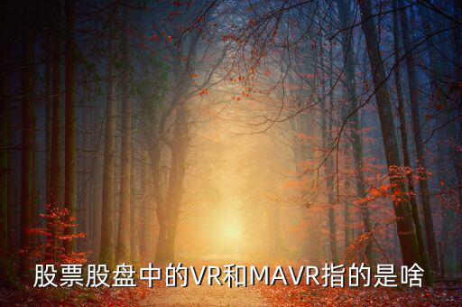 vr股是什么，股票股盤中的VR和MAVR指的是啥