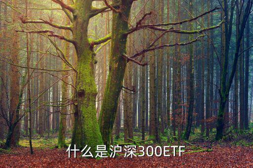 什么是滬深300ETF