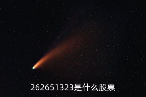 208393股票是什么，262651323是什么股票