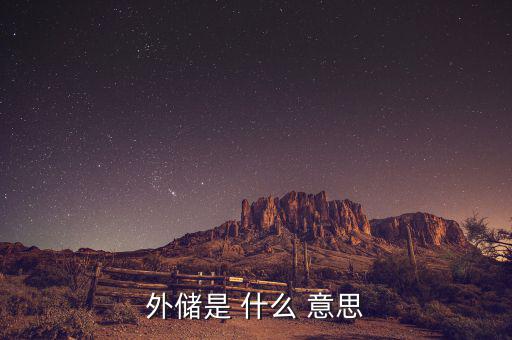 什么是外儲(chǔ)，什么是外儲(chǔ)