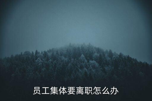 銷售團隊集體辭職怎么辦,公司里掛個監(jiān)事經理總裁有什么不好?