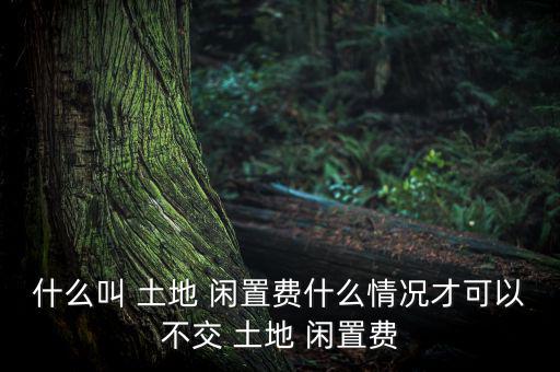 土地閑置費(fèi)怎么計(jì)算,閑置土地可向國有土地使用權(quán)充公