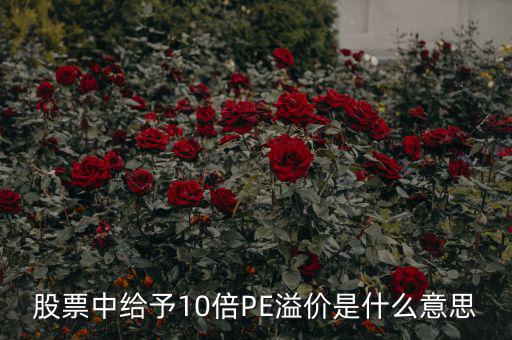 股票10倍市盈率什么意思，買10倍市盈率上下的大盤股什么意思