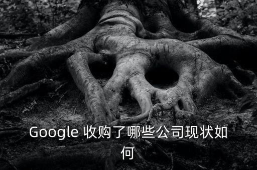 Google 收購(gòu)了哪些公司現(xiàn)狀如何