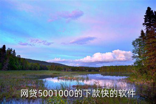 什么平臺能快速借500，網(wǎng)貸5001000的下款快的軟件